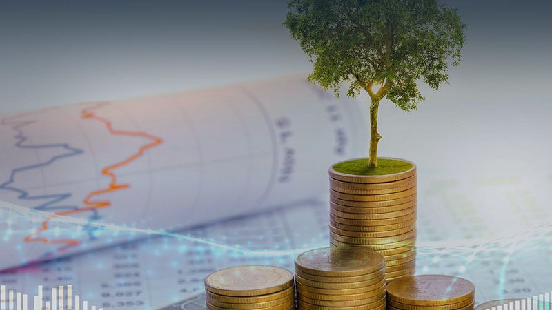 财务顾问尽职调查：揭秘企业财务健康体检全流程**